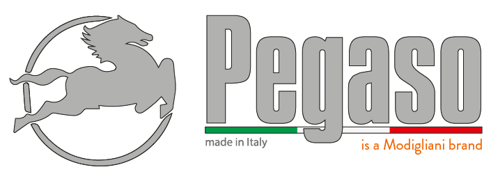 Pegaso Machinery
